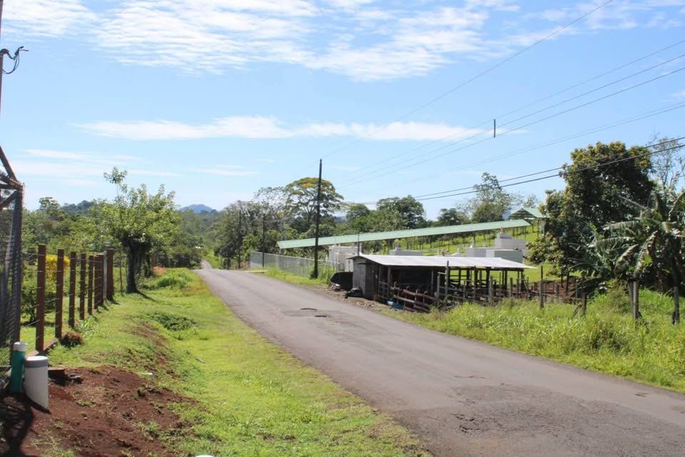 Se Vende Finca en San Francisco de La Palmera